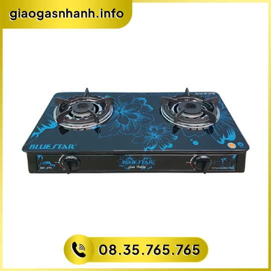 Bếp gas đôi Bluestar NG-679V 